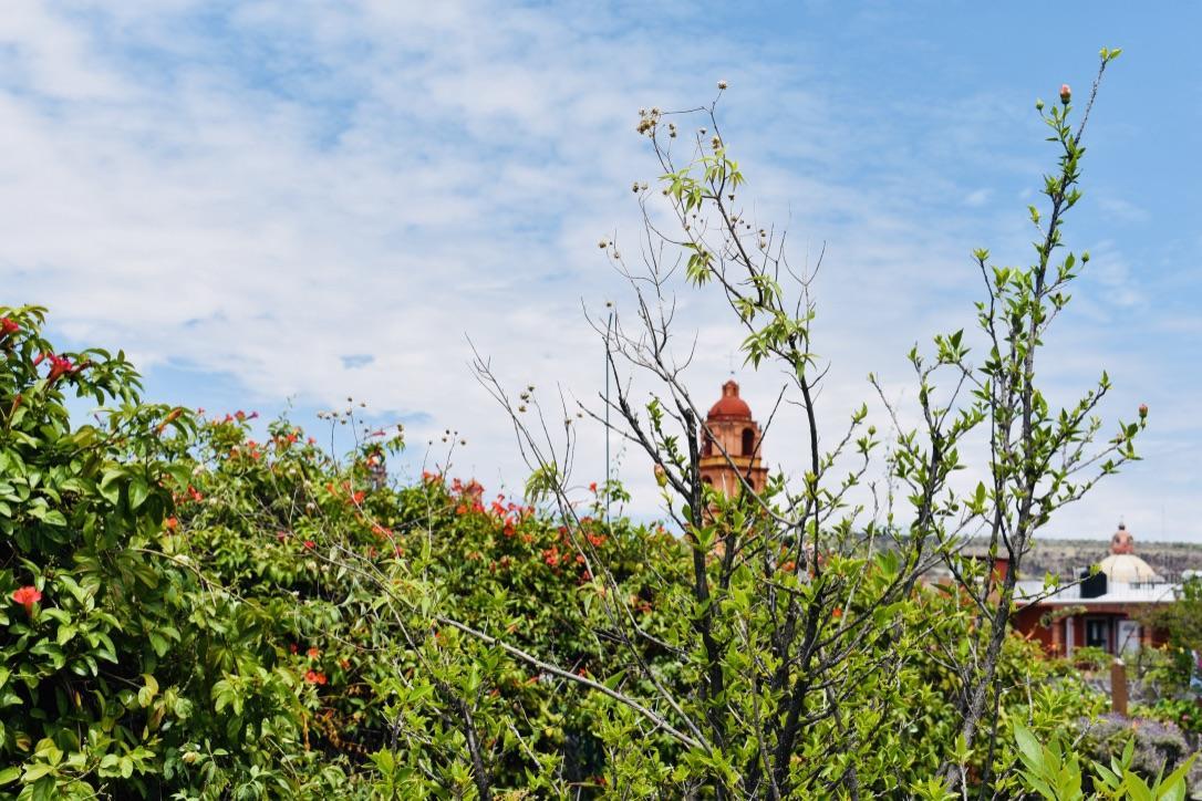 Casa Relox 23 Apartman San Miguel de Allende Kültér fotó